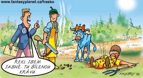 Obrazek